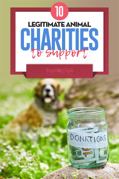 animal charties